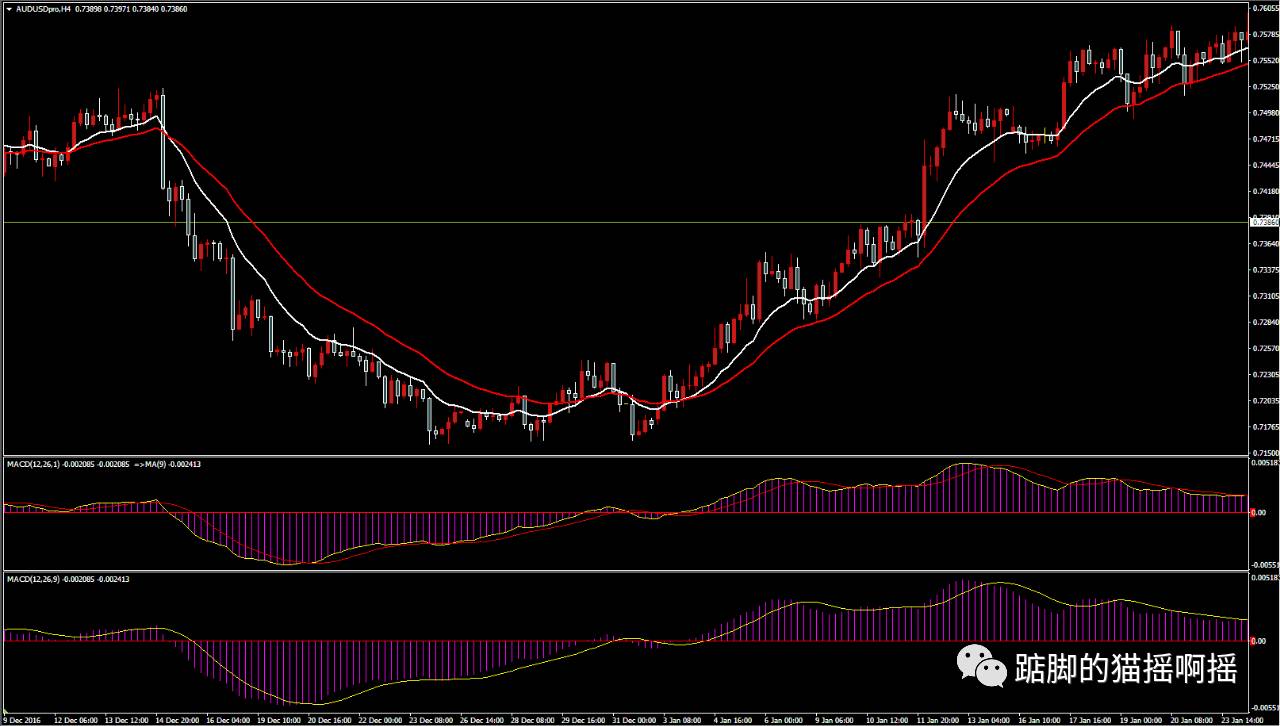 怎样在MT4中添加双线MACD？MT4软件双线MACD的设置方法(图6)