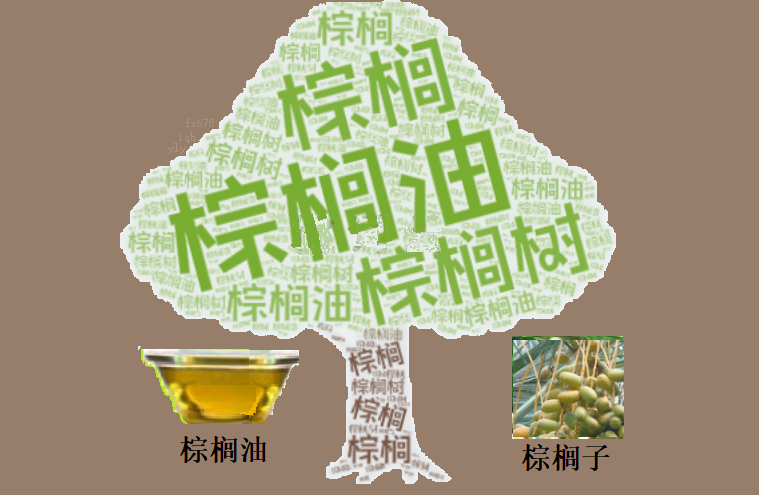 棕榈油周初收涨,市场静待数据与会议指引(图1) 棕榈油周初收涨,市场静待数据与会议指引(图1)